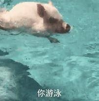 ��������΢�ű����������ͼ2