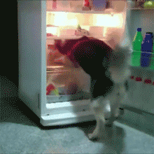 ���俪���˻᳤�������