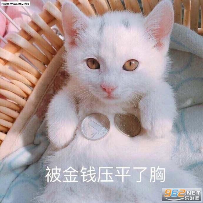 �ȵ���������è��������ͼ2