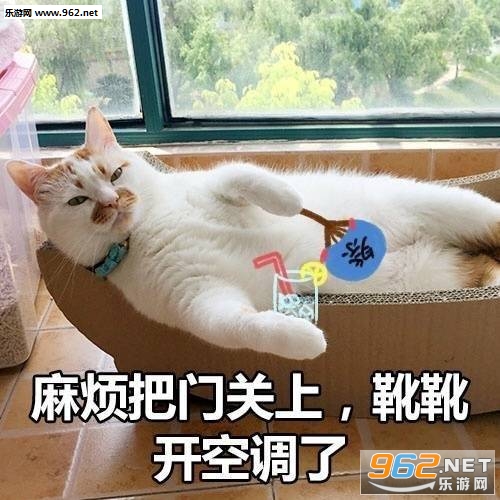 �ȵ���������è��������ͼ3