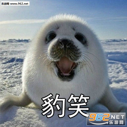 自豹自弃表情包无水印截图1