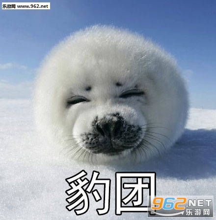 自豹自弃表情包无水印截图2