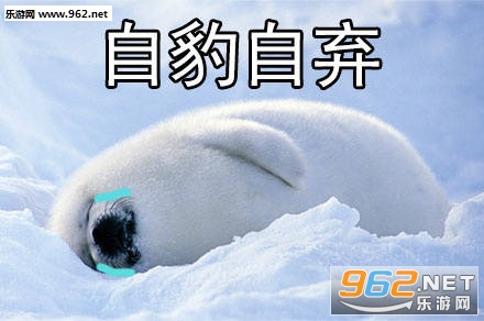 自豹自弃表情包无水印截图3