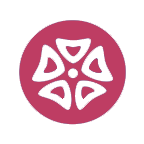 ÷����app