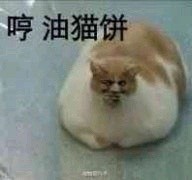 ��è�������