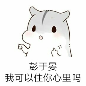 彭于晏仓鼠表情包可导入微信版高清无水印截图1