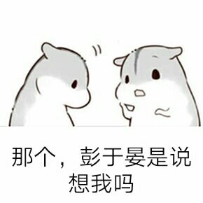 彭于晏仓鼠表情包可导入微信版高清无水印截图2