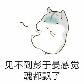 彭于晏仓鼠表情包可导入微信版高清无水印截图3