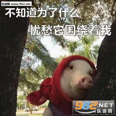 emmm�����������ͼ0