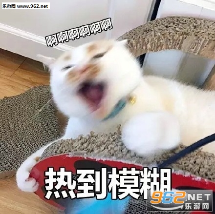 ���˰����޵ı��������������ͼ0