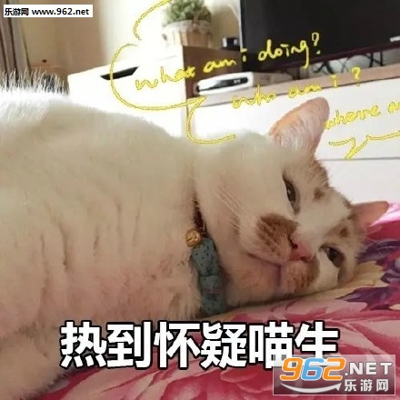 ���˰����޵ı��������������ͼ2