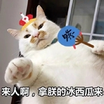 ���˰����޵ı������������