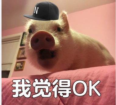 �Ҿ���OK�����