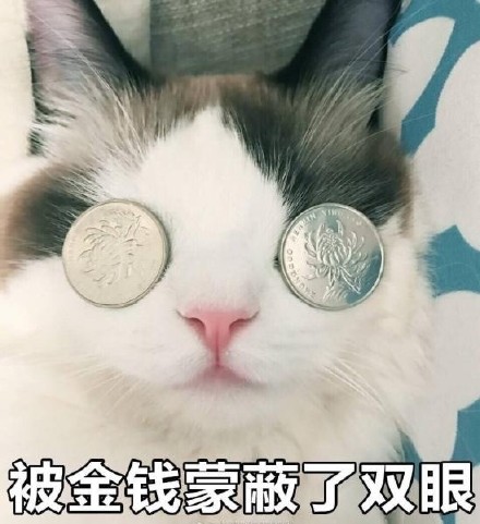 ����Ǯ�ɱ�˫��è������