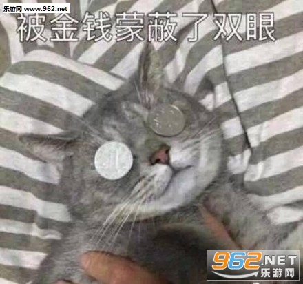 ����Ǯ�ɱ�˫��è��������ͼ0