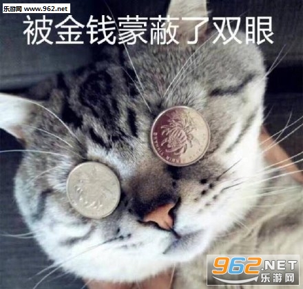 ����Ǯ�ɱ�˫��è��������ͼ1