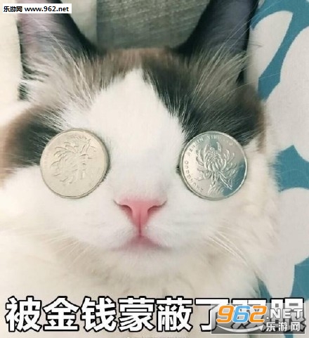 ����Ǯ�ɱ�˫��è��������ͼ2