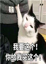 ��Ҫ�������������è������