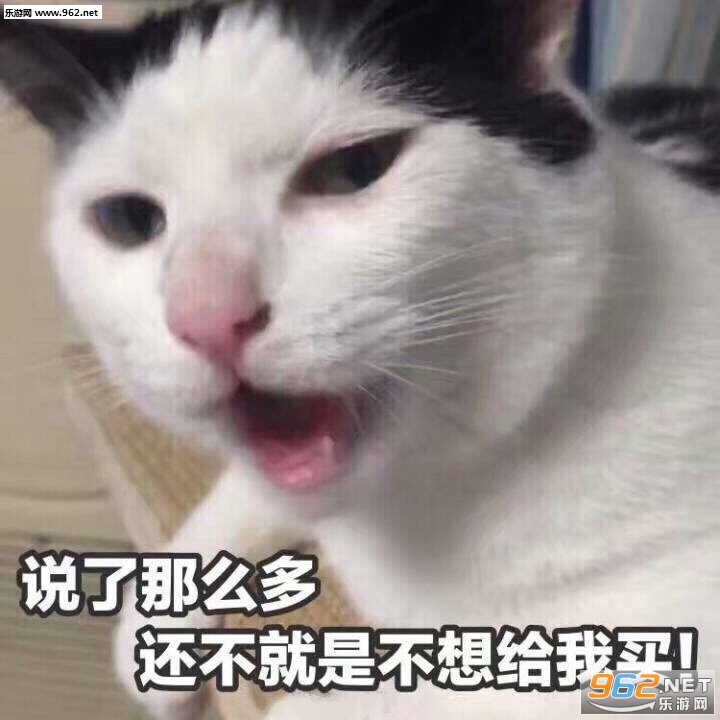 ��Ҫ�������������è��������ͼ1