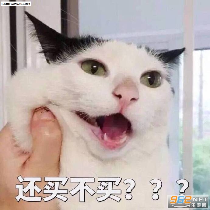 ��Ҫ�������������è��������ͼ2