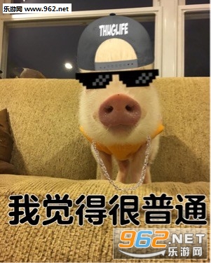 ����������ʧ��������ʲô����ͼ2