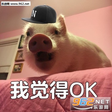 ����������ʧ��������ʲô����ͼ1