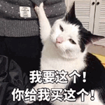 ��Ҫ�����������è�����