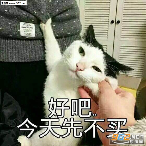 ��Ҫ������������ͼ0