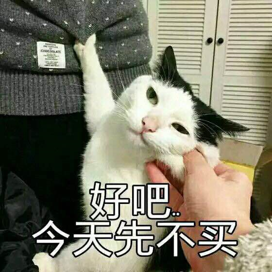 ��Ҫ����������