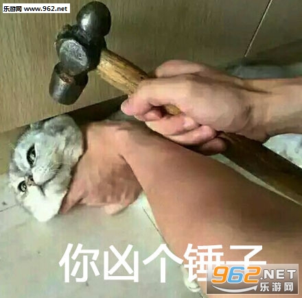 超凶喵星人表情包完整版无水印截图0