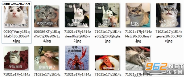 超凶喵星人表情包完整版无水印截图1