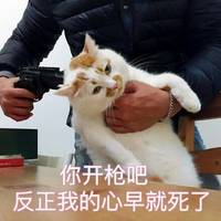 ��Ҫ������������������