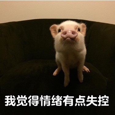 ��������ʵ�е����α����
