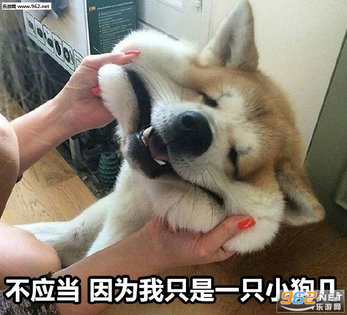 ��Ӧ����Ϊ��ֻ��һֻСè��������ͼ1