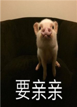 Ҫ����Ҫ�������������
