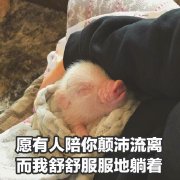 Ҫ����Ҫ���������������ͼ0