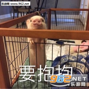 Ҫ����Ҫ���������������ͼ1
