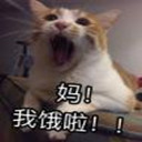 ����ٵ���ϵ�б������ȫ