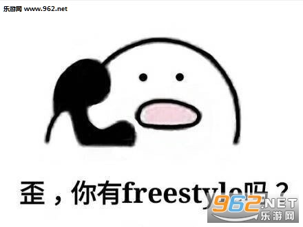 �й�������freestyle�������ˮӡ��ͼ0
