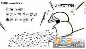 �й�������freestyle�������ˮӡ��ͼ1