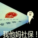 ��TM�籣�����