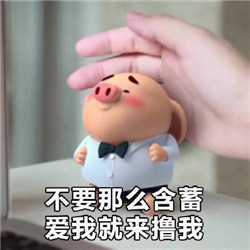 猪小屁表情包合集截图0