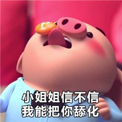 猪小屁表情包合集截图2
