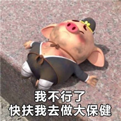 猪小屁表情包合集截图4