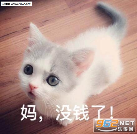 �Ҹ�ĸҪǮ�ı������ͼ5