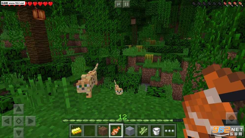 Minecraft(�ҵ�����1.2.0�ֻ����°�)��ͼ0