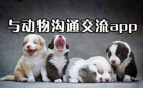 �������Է��������İ�����_�Ͷ��ｻ��������
