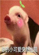 ���С�ɰ�ͻȻ���ֳ����������