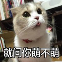 �Ҿ����Ŀ�����װ�Ʊ������ͼ1