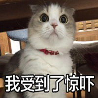 �Ҿ����Ŀ�����װ�Ʊ������ͼ2